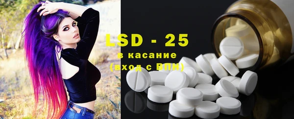 дживик Бронницы
