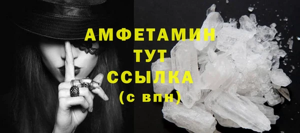дживик Бронницы