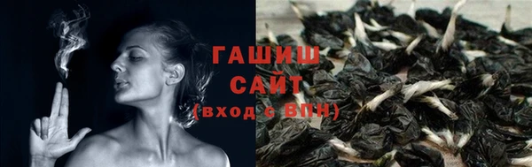 стаф Богородицк